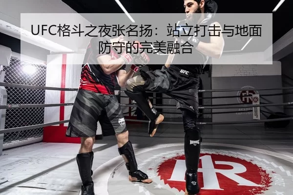 ge-dou-zhi-ye-zhang-ming-yang-zhan-li-da-ji-yu-di-mian-fang-shou-de-wan-mei-rong-he-3-815.jpg