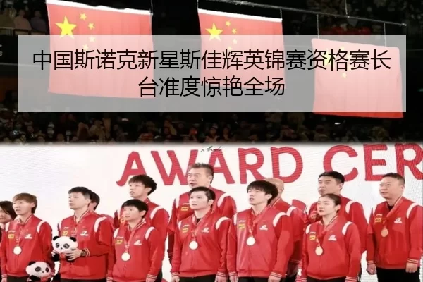 zhong-guo-si-nuo-ke-xin-xing-si-jia-hui-ying-jin-sai-zi-ge-sai-zhang-tai-zhun-du-jing-yan-quan-chang-3-604.jpg
