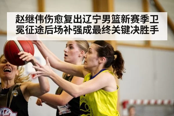 赵继伟伤愈复出辽宁男篮新赛季卫冕征途后场补强成最终关键决胜手