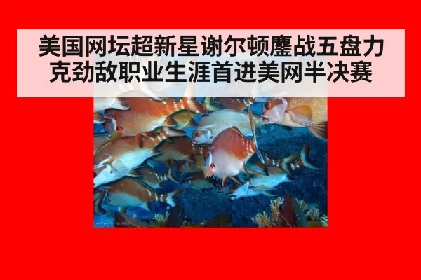 美国网坛超新星谢尔顿鏖战五盘力克劲敌职业生涯首进美网半决赛